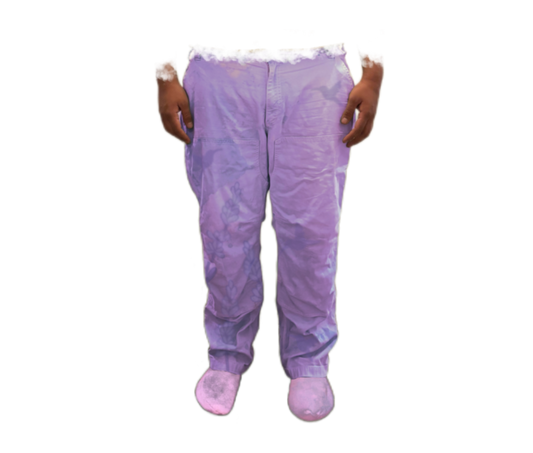 All Love Hummingbird Pants